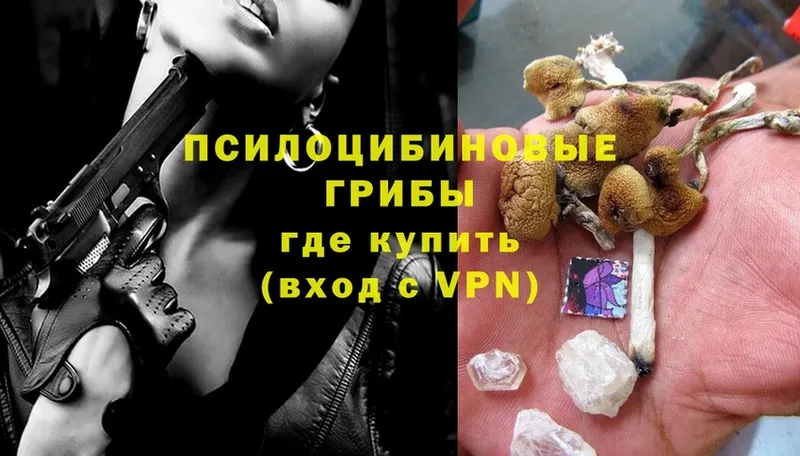 Как найти наркотики Новоульяновск Alpha PVP  Героин  Марихуана  Cocaine  Меф мяу мяу  Псилоцибиновые грибы 