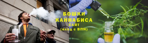 сатива Надым