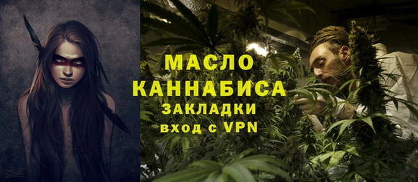 сатива Надым