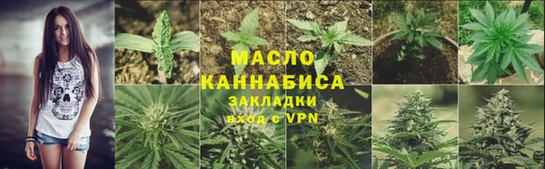 сатива Надым