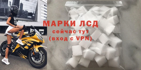 сатива Надым