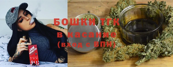 сатива Надым