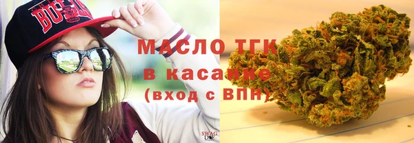 сатива Надым