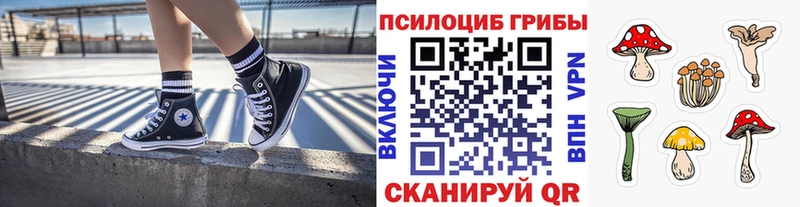 закладка Новоульяновск OMG зеркало Псилоцибиновые грибы Psilocybine cubensis